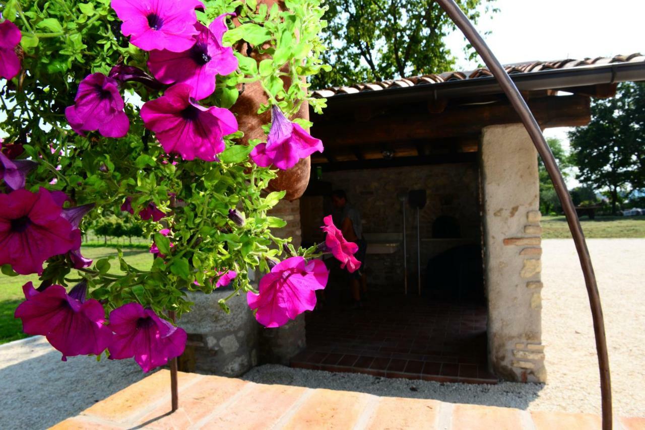 Corte Davini Agriturismo Monzambano Exterior foto